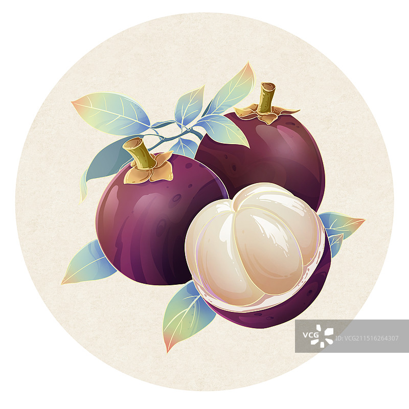 山竹手绘插画图片素材