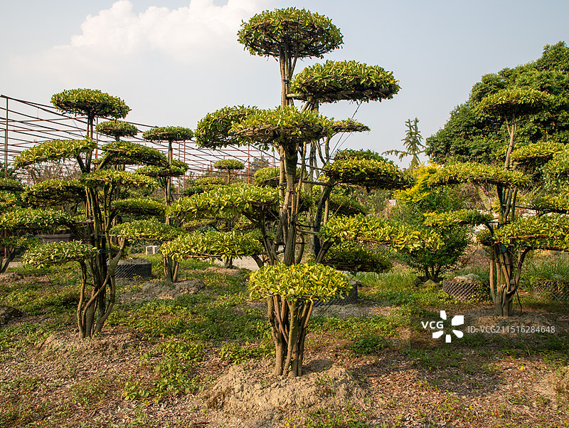 成都农科村景区图片素材