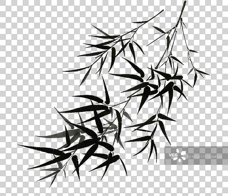 竹子竹叶—国画写意古风水墨元素图片素材