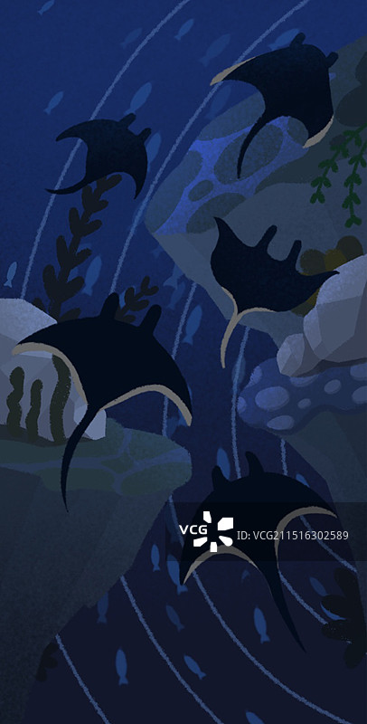 保护海洋图片素材