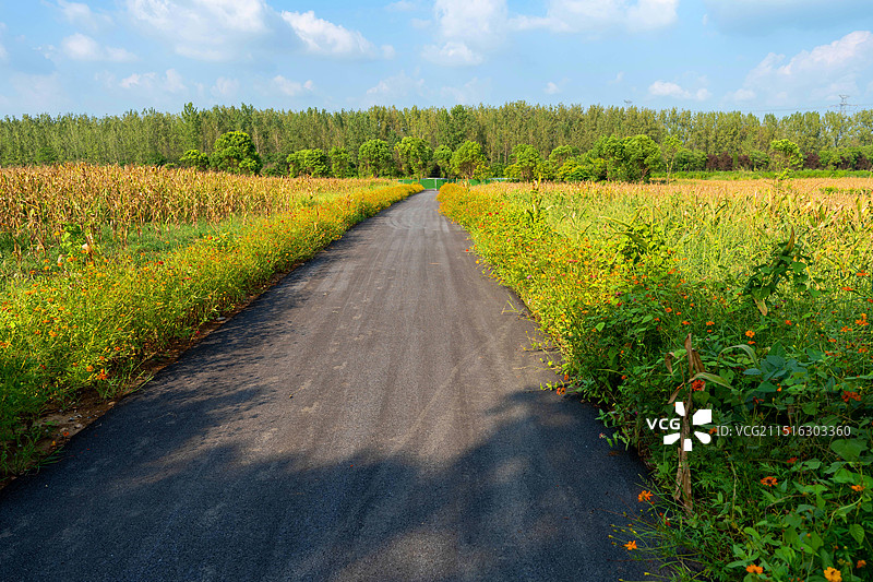 合肥三十岗乡生态农业旅游区图片素材