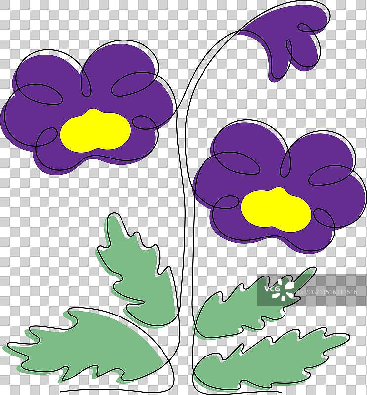 三色紫罗兰图片素材