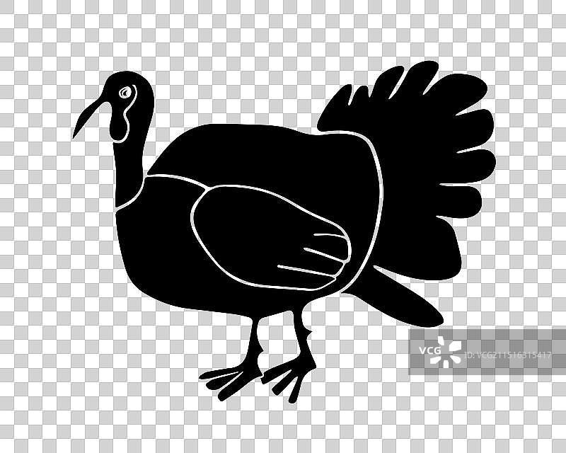 火鸡家禽剪影图片素材