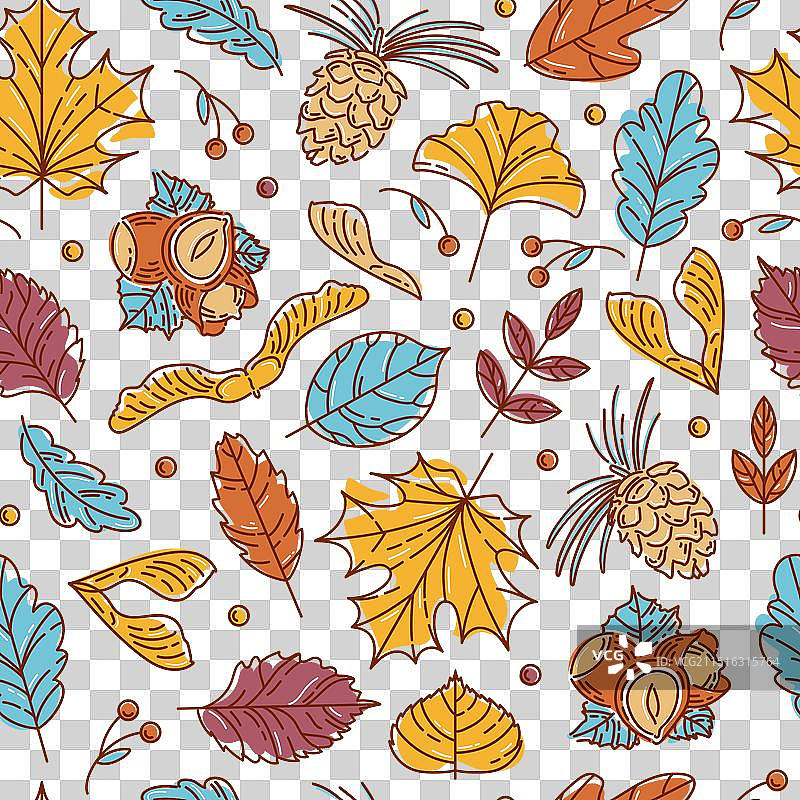 秋叶坚果和种子无缝图案图片素材