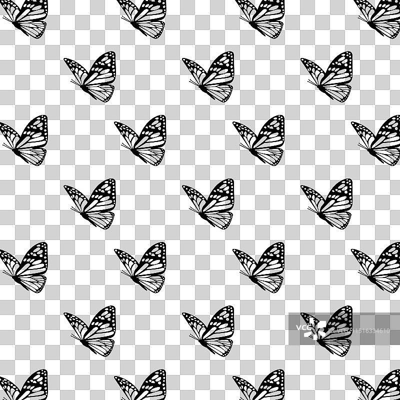 白色背景上的黑白蝴蝶图案图片素材