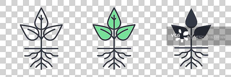 白色背景上隔离的幼苗图标符号图片素材
