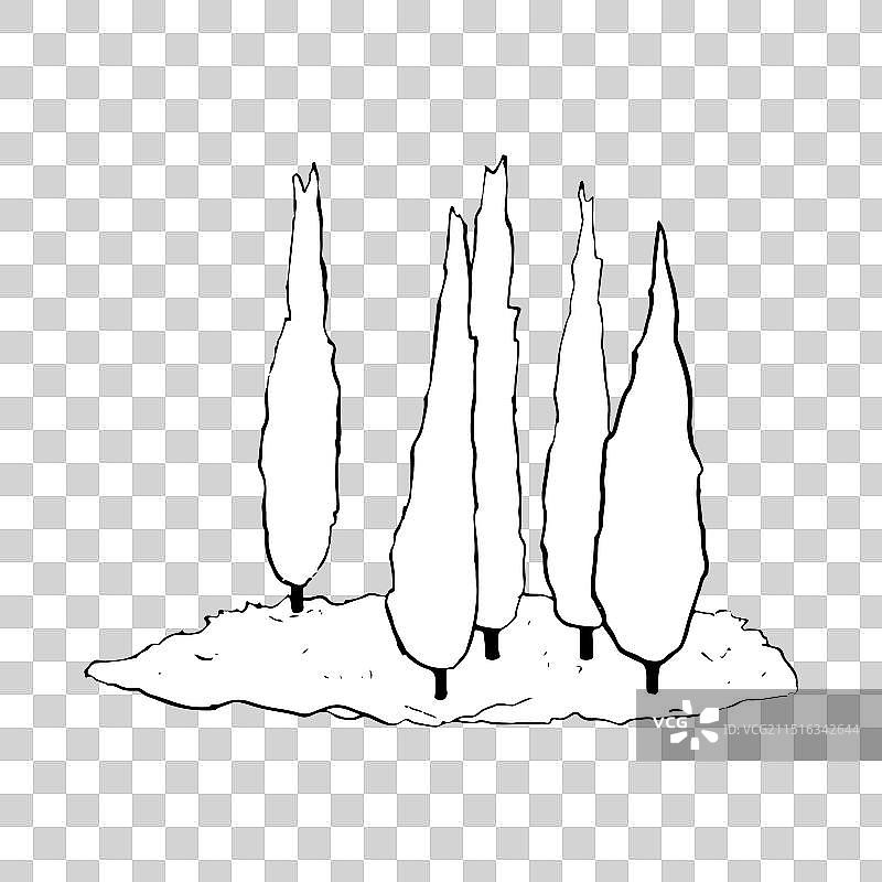 柏树林简笔画图片素材