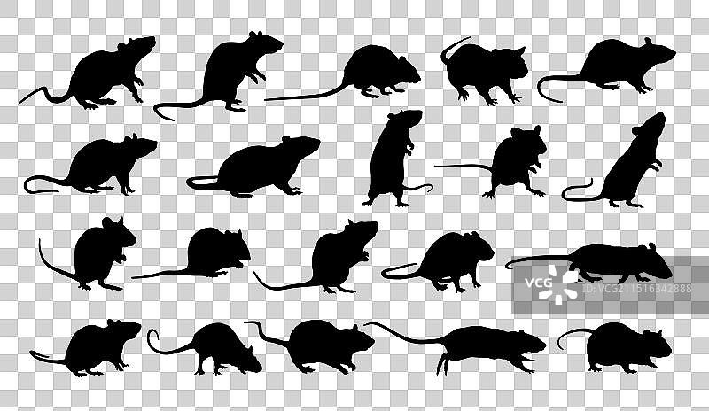 老鼠剪影图片素材