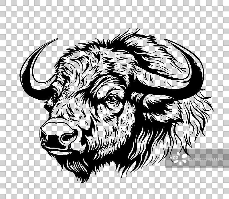 手绘野牛素描图片素材