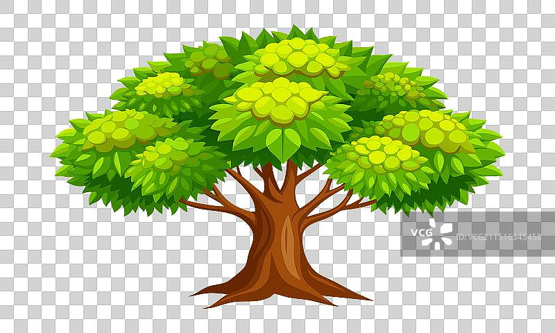 白色背景扁平栗子树轮廓图片素材