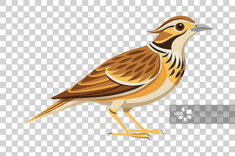 白色背景上的扁平风格云雀图片素材