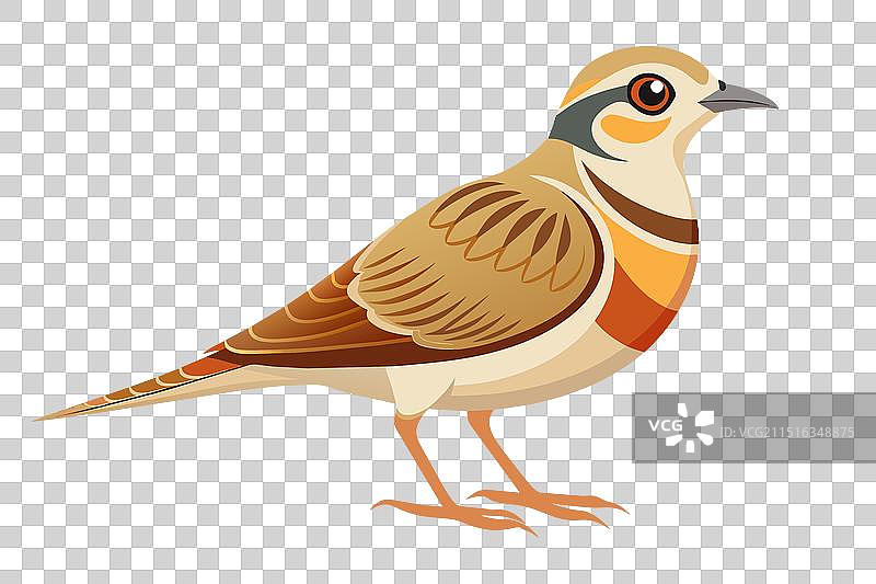 白色背景上的云雀扁平风格图案图片素材