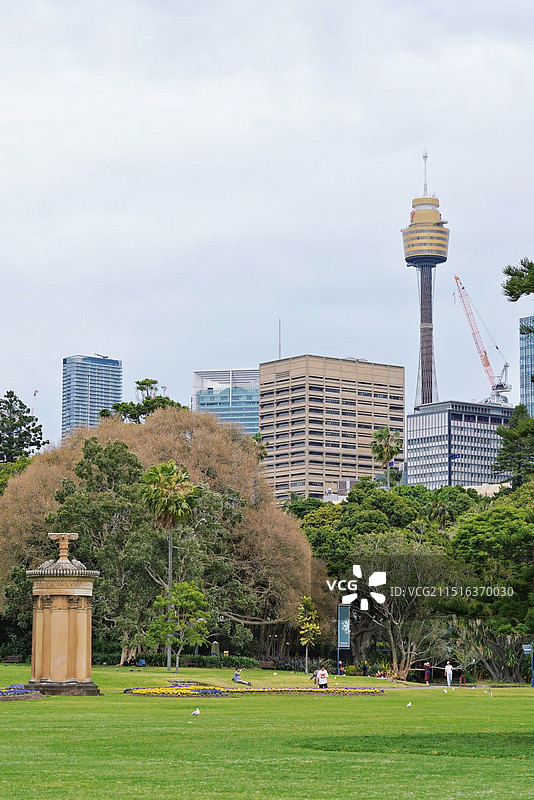 悉尼城市景观，皇家植物园图片素材