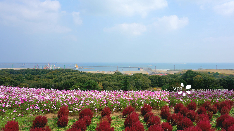 日本茨城县常陆那珂市，从国营常陆海滨公园眺望常陆那珂港图片素材