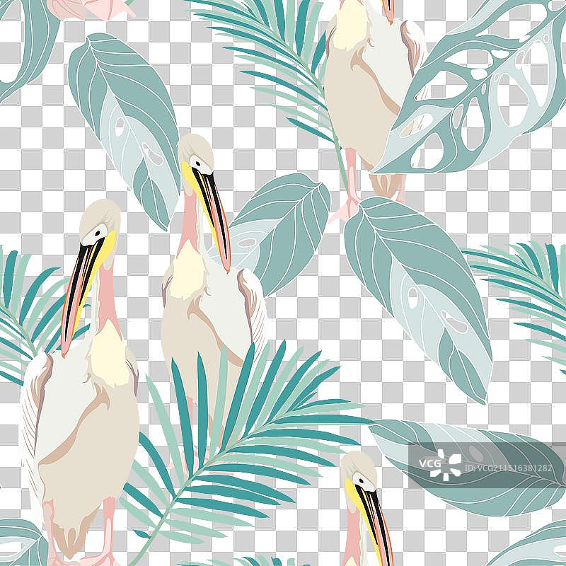 热带棕榈叶鹈鹕花卉无缝图案图片素材