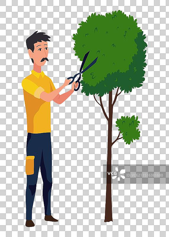 专业园丁用绿篱修剪植物图片素材