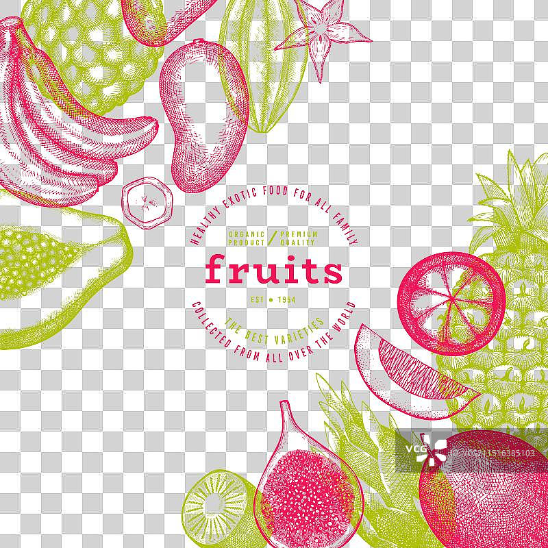 手绘异域热带水果设计模板图片素材