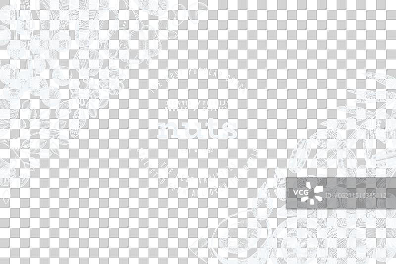 手绘坚果树枝和果仁模板图片素材