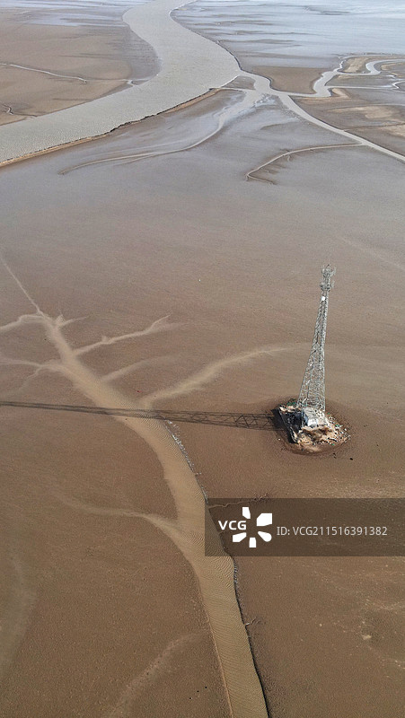 黄河入海口大地之树图片素材