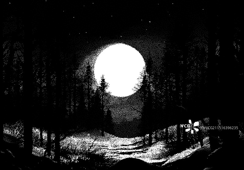 复古风格的满月深色森林景观图片素材