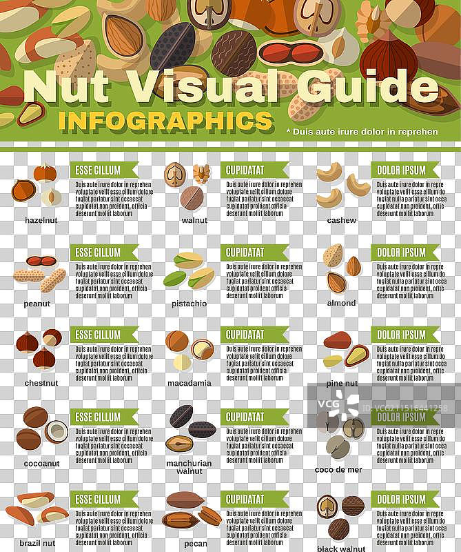 坚果信息图图片素材