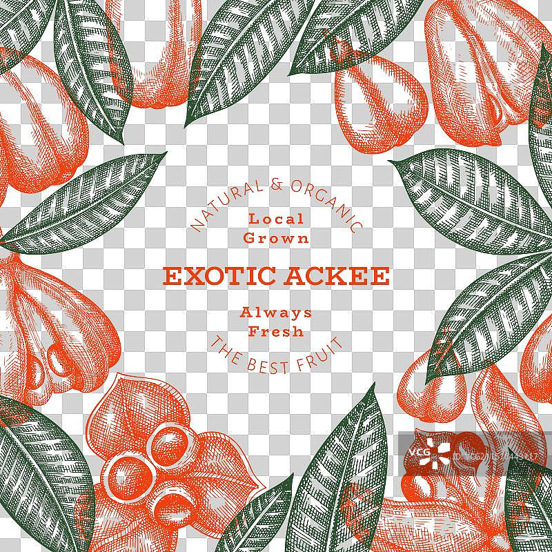 手绘风格阿基果banner图片素材