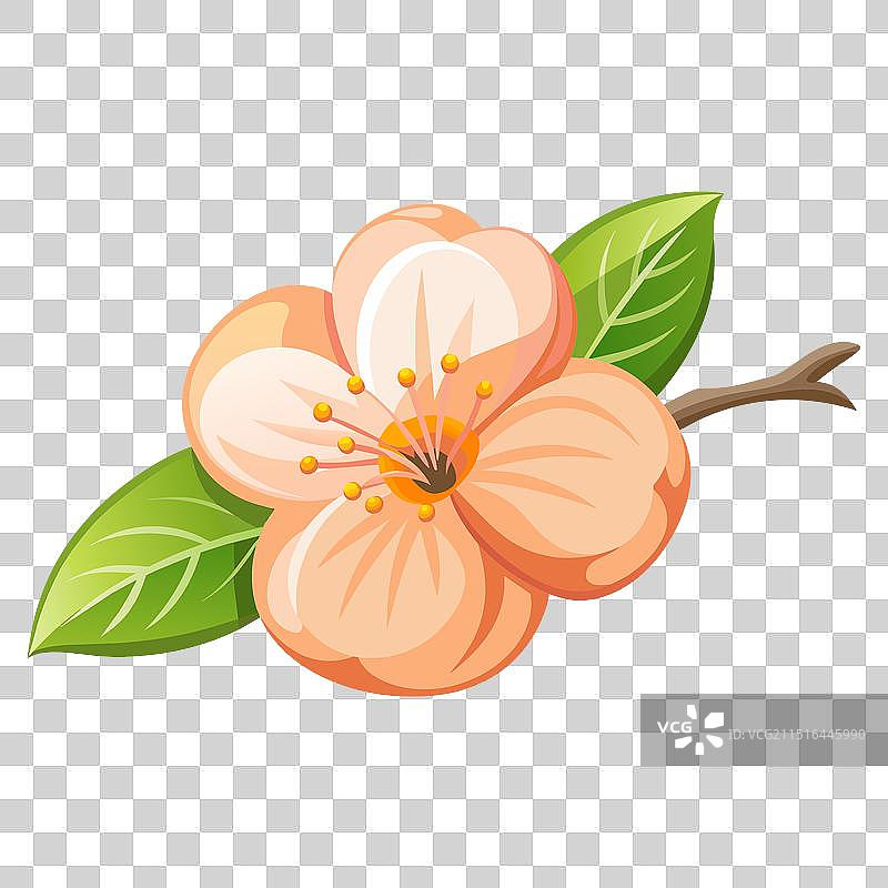 扁平杏花图片素材