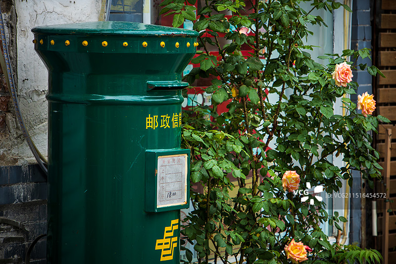 春日雨后的邮筒和月季花特写 济南曲水亭街图片素材