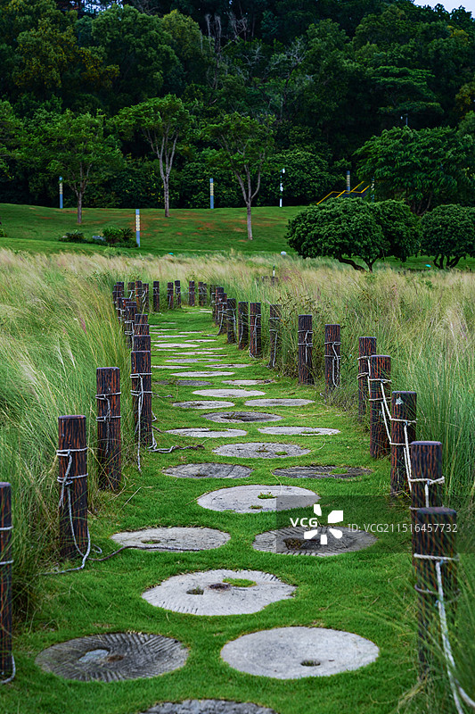 深圳光明区红花山公园图片素材