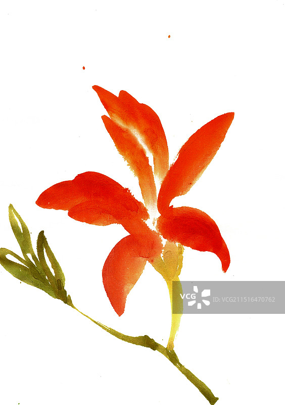 红色的小花图片素材