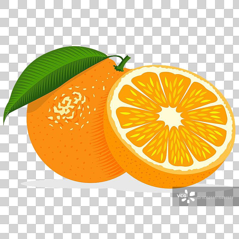 逼真的柠檬水果或橙色与阴影图片素材