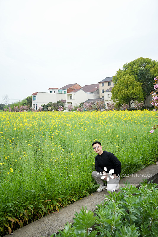 杭州 临平 双桥村 薪火双桥油菜花海 油菜花 花田 浙江农村风貌 共同富裕 乡村振兴图片素材