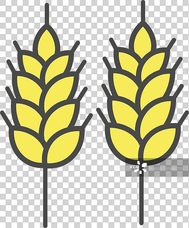 小麦小穗隔离图标图片素材