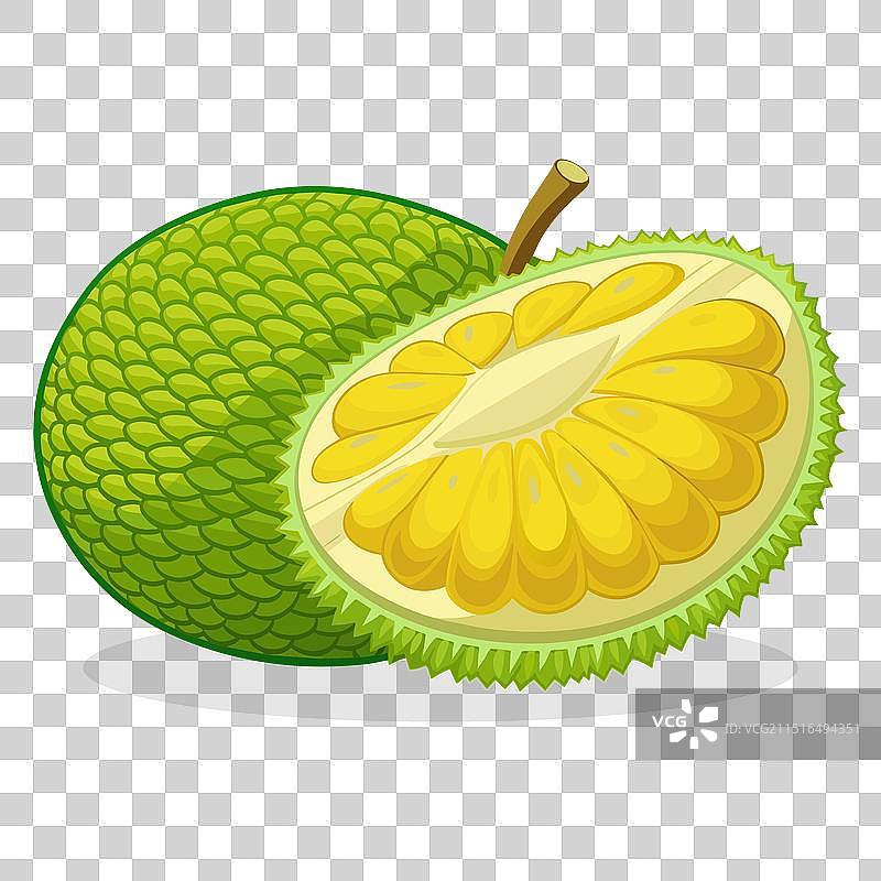 孤立的菠萝蜜扁平设计图片素材