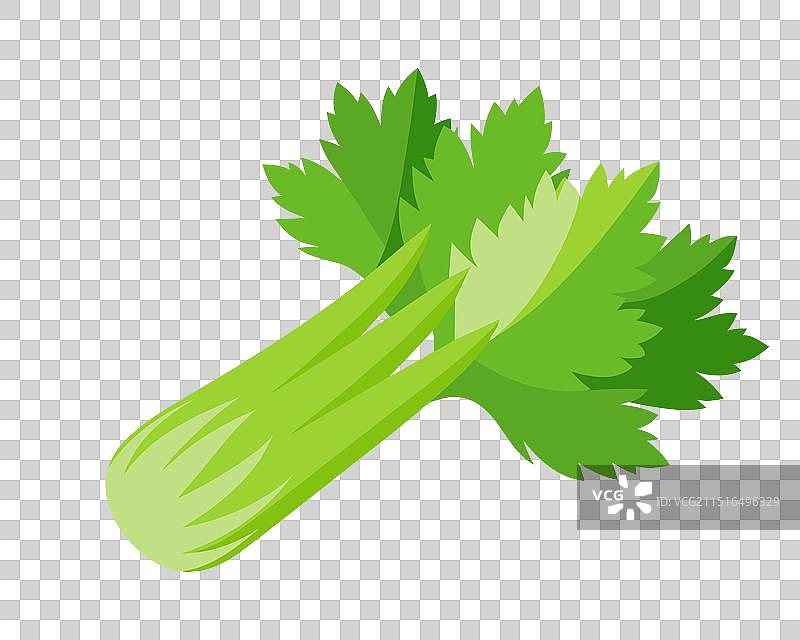 白色背景上的扁平芹菜图片素材