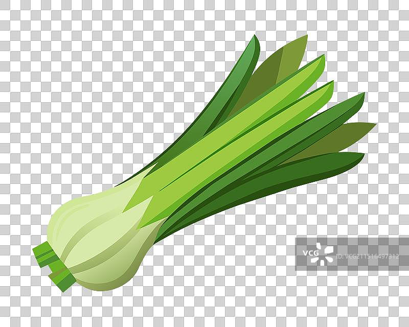 白色背景上的扁平韭菜蔬菜图片素材