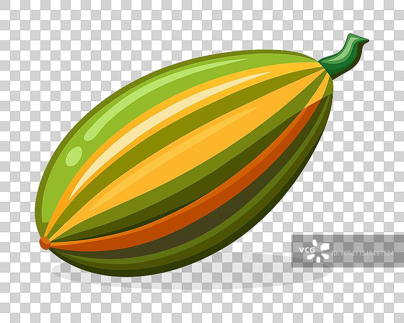 白色背景上的葫芦蔬菜图片素材