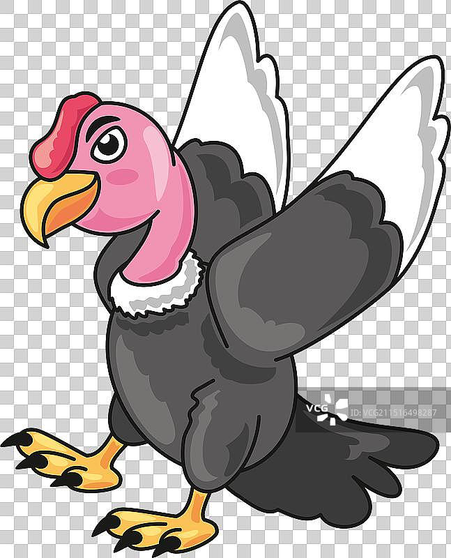 安第斯秃鹰卡通图片素材