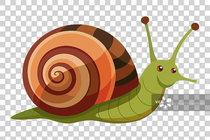 白色背景上的扁平蜗牛动物图片素材