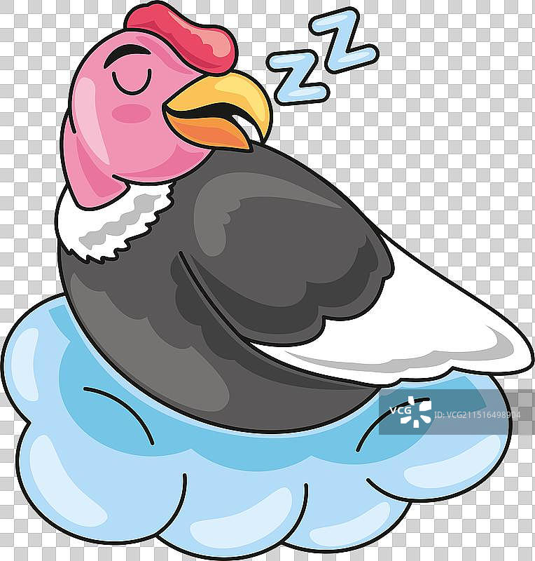 沉睡的南美洲秃鹰图片素材