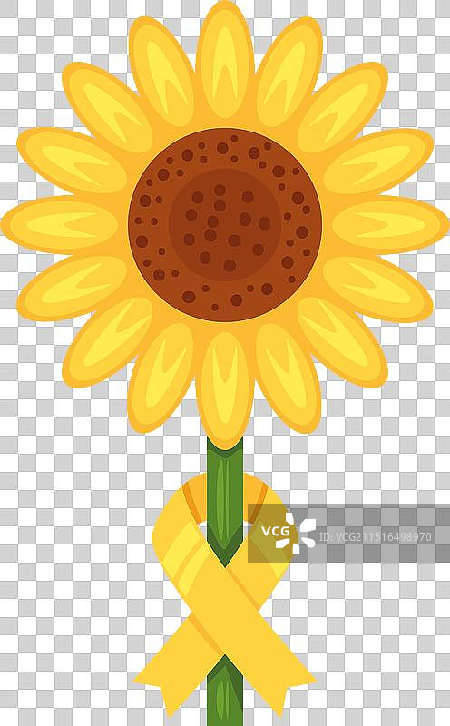 鲜花与黄色丝带肉瘤意识图片素材