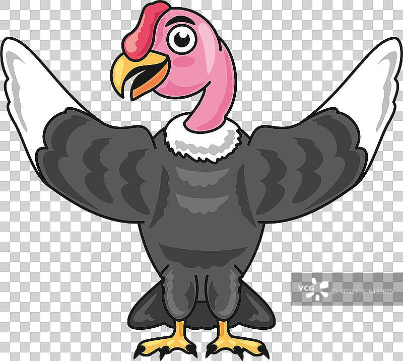 卡通安第斯秃鹰（展开翅膀）图片素材