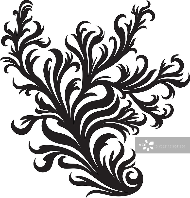 带有涂鸦海藻的沿海书法设计图片素材