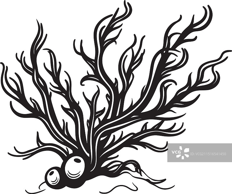 带旋律涂鸦海藻的海藻小夜曲Logo图片素材