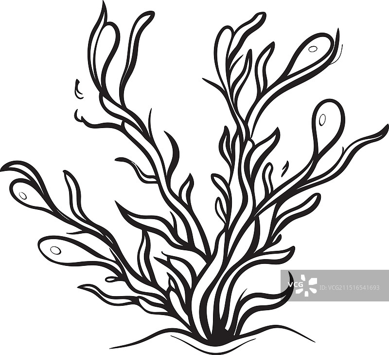 邀请函风格的海洋奥德赛涂鸦海藻图形图片素材