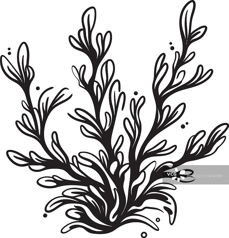 带有海藻涂鸦的海洋奥德赛标志图片素材