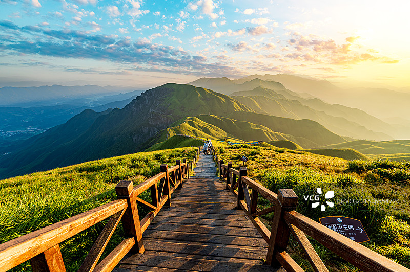 高山草甸绿色自然风景图片素材