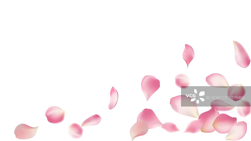 玫瑰花瓣或樱花飞舞的浪漫花瓣图片素材