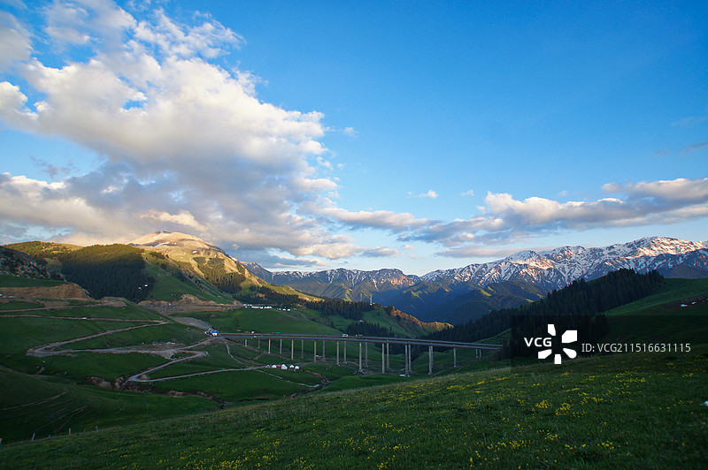 新疆果子沟的清晨图片素材