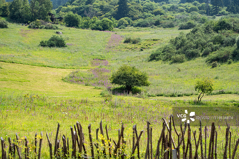 四川省阿坝州九寨沟县县漳扎镇中查沟中查村图片素材